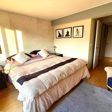 산티아고 Departamento Delux 아파트 외부 사진